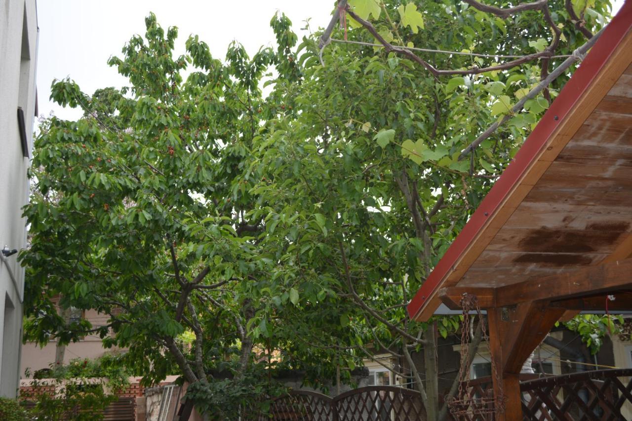Victor Residence 38 Bukarest Exterior foto